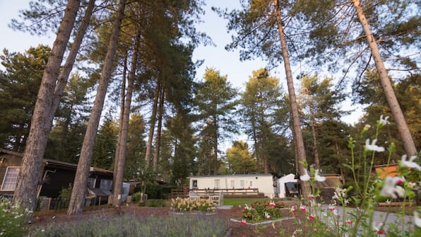 Arden Parks Tulderheyde