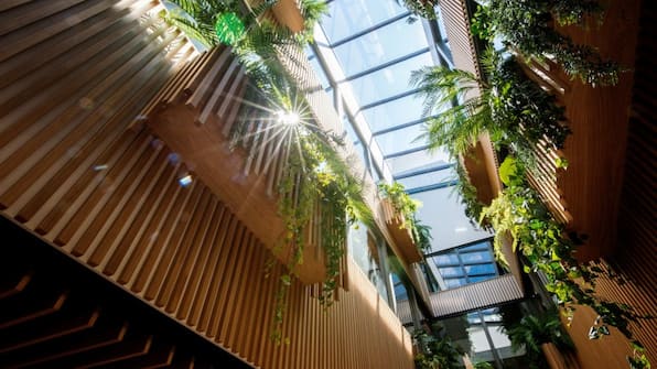 Hal - Appartementen De Egmonden
