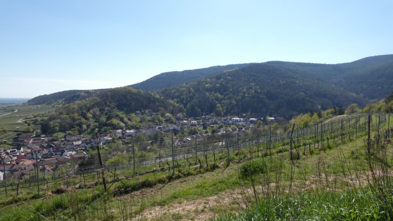 Omgeving - St Martiner Castell