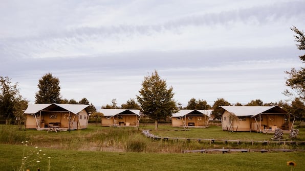 Glampingtenten - Vakantiepark Eigen Wijze