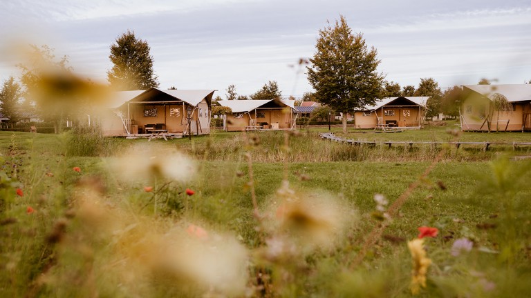 Glampingtenten - Vakantiepark Eigen Wijze