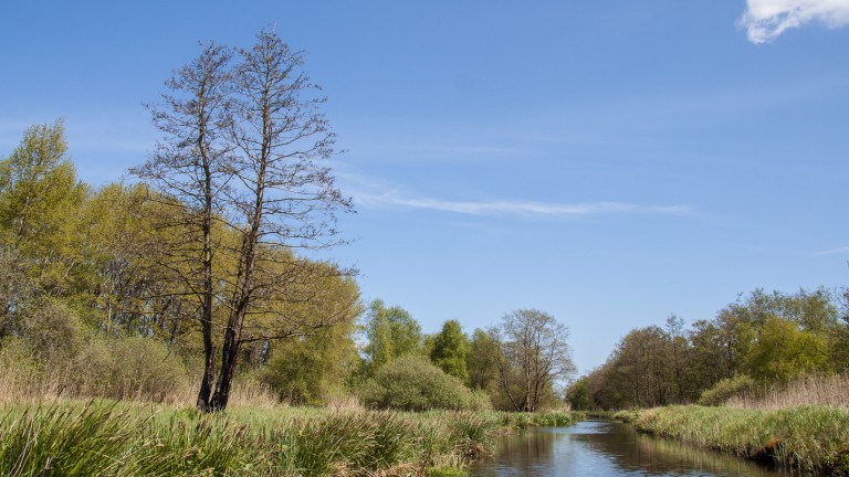 Omgeving - Boetiekpark De Kas