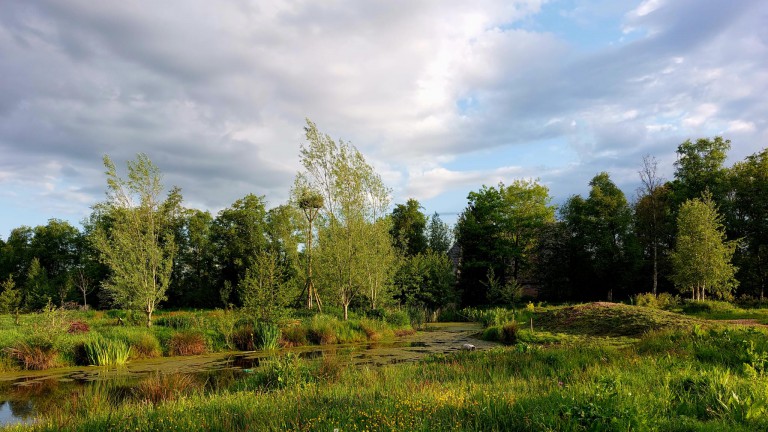 Omgeving - Boetiekpark De Kas