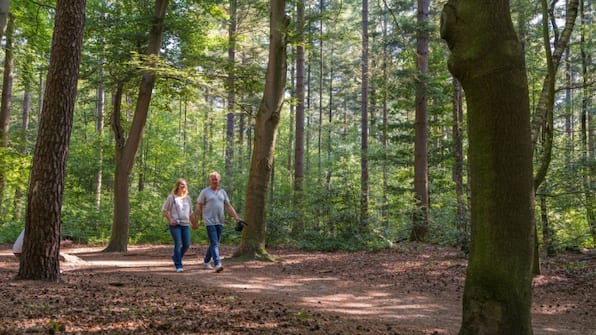 Wandelen - Vakantiepark Ackersate