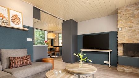 Woonkamer - Center Parcs De Huttenheugte