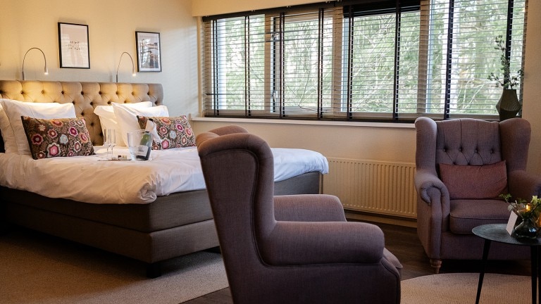 Deluxe kamer met sauna - Witte Berken Natuurhotel