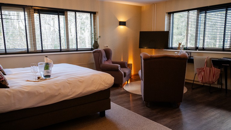 Deluxe kamer met sauna - Witte Berken Natuurhotel