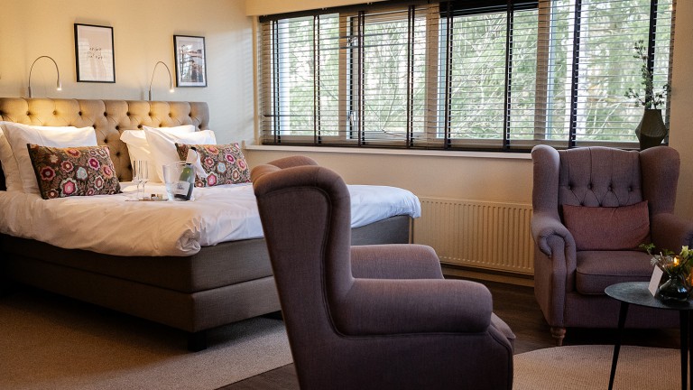 Deluxe kamer met sauna - Witte Berken Natuurhotel