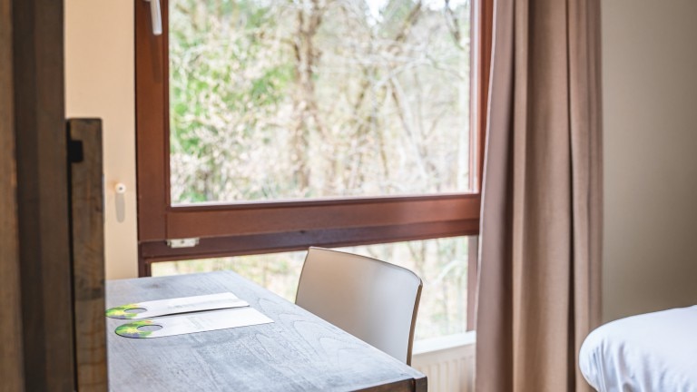 Tiny double kamer - Blooming Hotel
