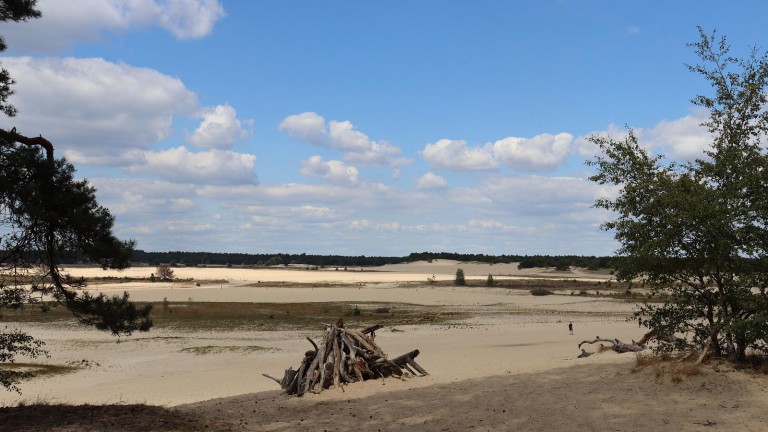 Omgeving - Recreatiepark Duinhoeve