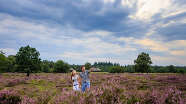 Veluwe - Hotel Reehorst