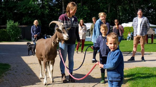Sfeerbeeld - Vodatent Boerderijcamping de Hinde