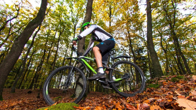 Omgeving - Camping Diever