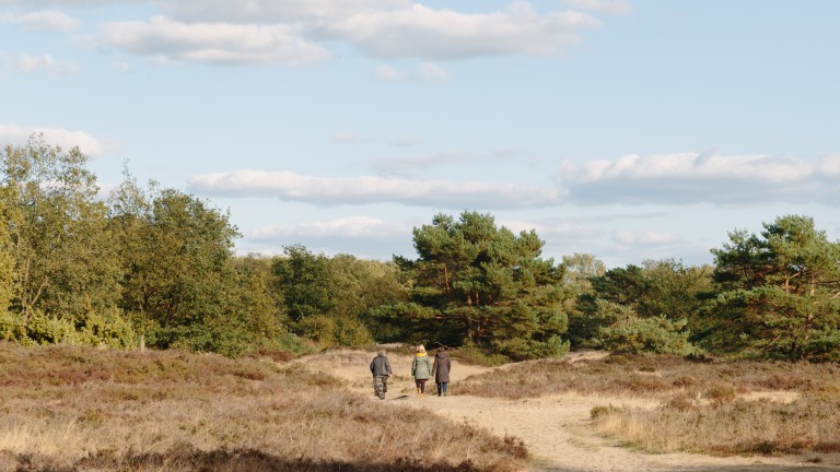 Omgeving - Camping Diever