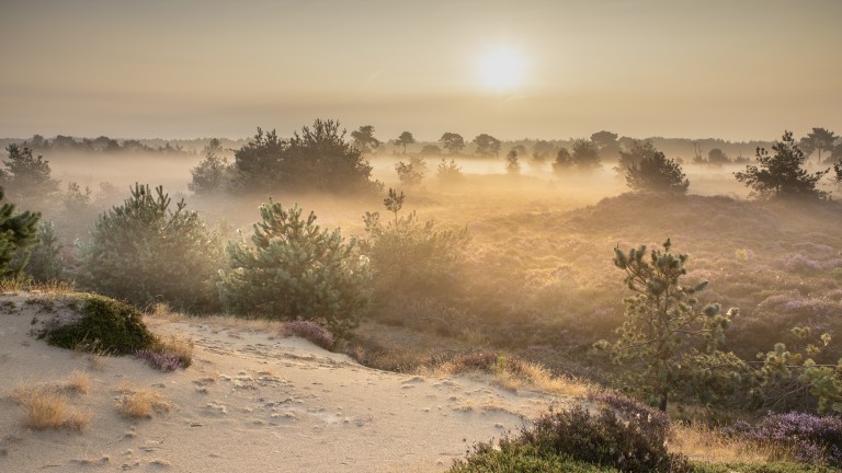 Omgeving - Camping Diever