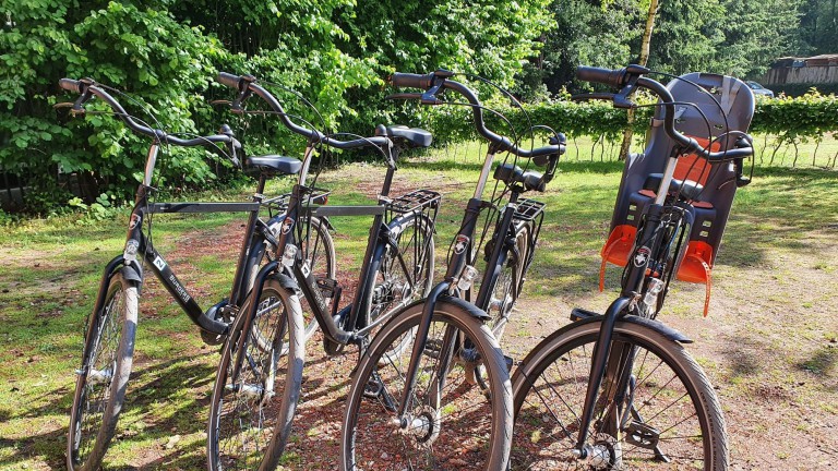 Fietsverhuur - Camping Diever