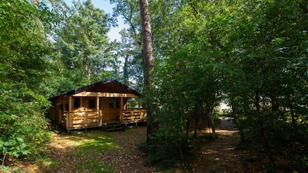 Buitenaanzicht - Camping Diever