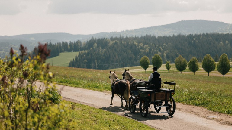Omgeving - Der Hirschen