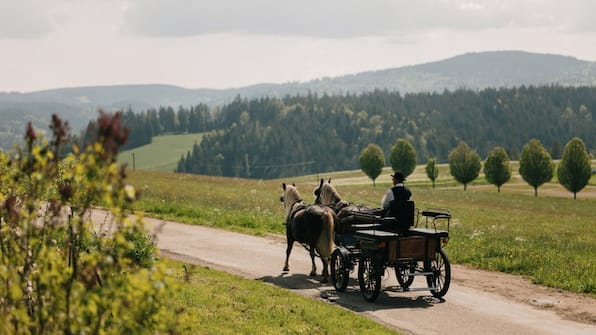 Omgeving - Der Hirschen