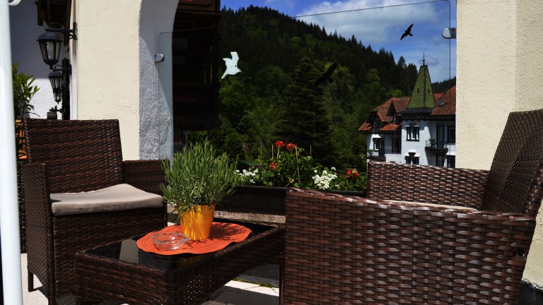 Terras - Holzschuhs Schwarzwaldhotel