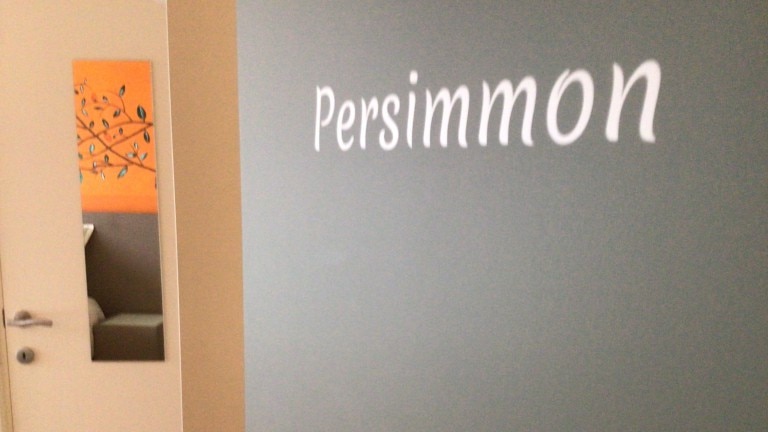 Persimmon kamer - BnB The Protea