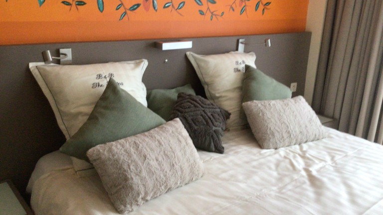 Persimmon kamer - BnB The Protea