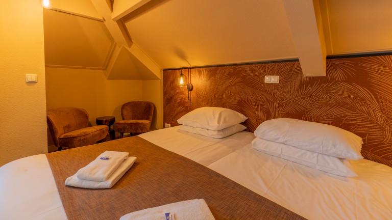 Standaard kamer met balkon - Hotel Ameland