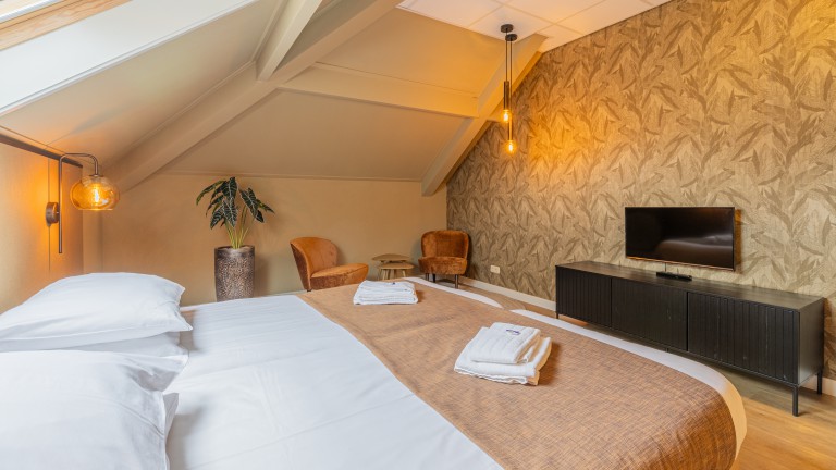 Standaard kamer - Hotel Ameland