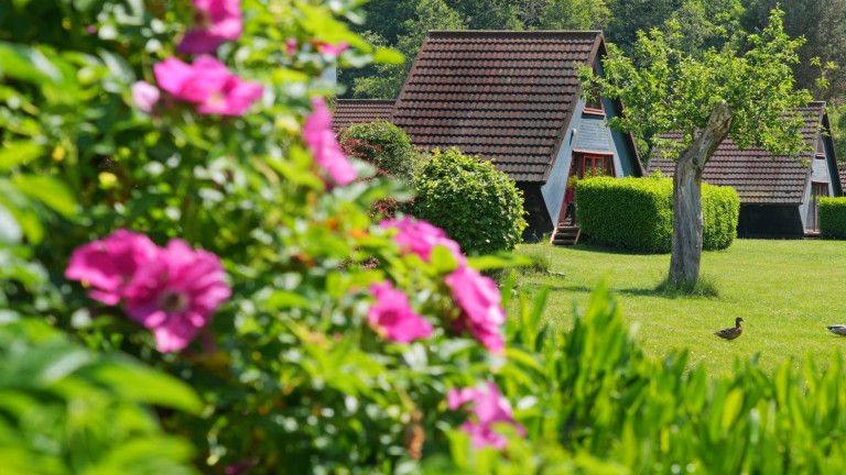 Domaine Long Pré