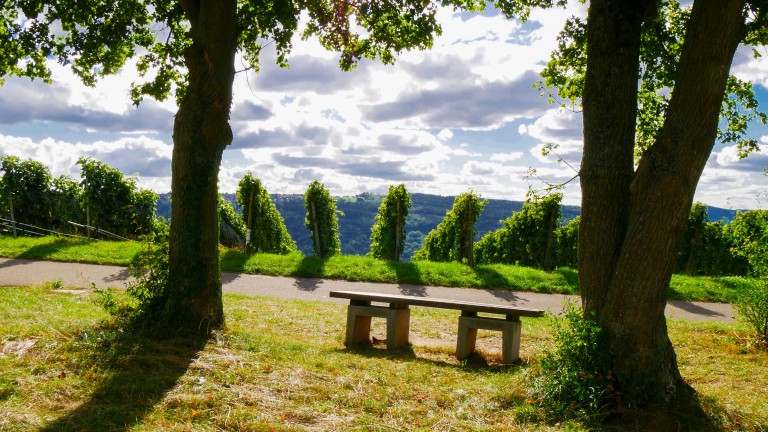 Omgeving - Haus Moselliebe