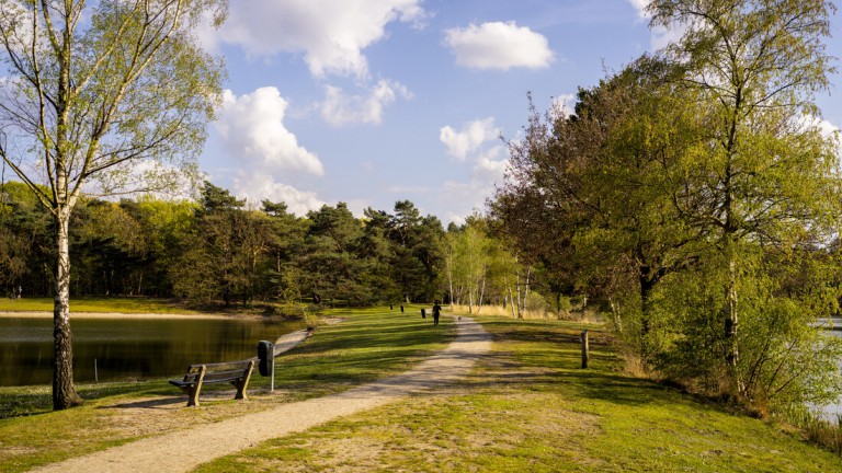 Park - Landal Bospark 't Wolfsven