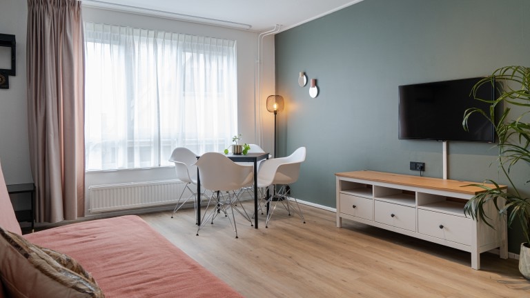 Galeriebild 7