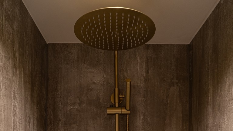 Galeriebild 9