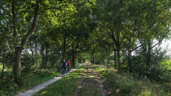 Omgeving - Vakantiepark 't Strandheem