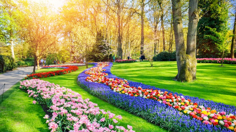 Keukenhof - Boutique Suites Lisse