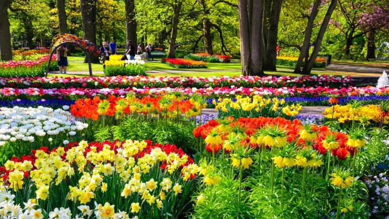 Keukenhof - Boutique Suites Lisse