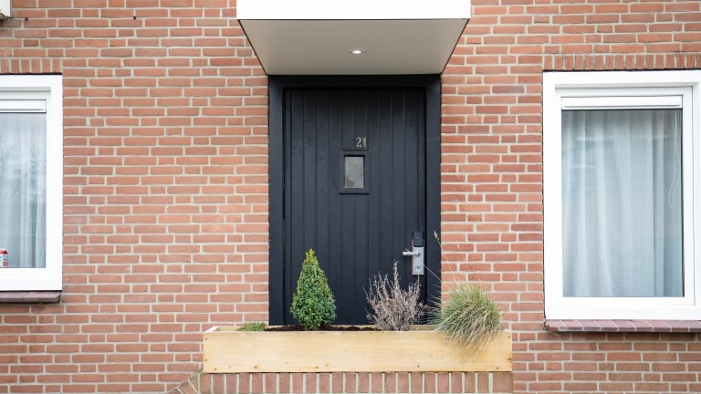 Galeriebild 10
