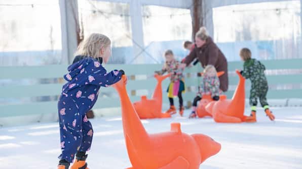 Schaatsen - Familie Resort Molenwaard