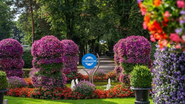 Entree - TopParken Landgoed de Scheleberg