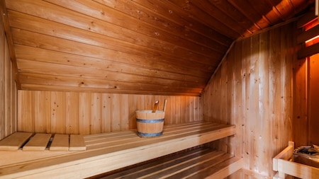 Sauna- Landal Hunerwold State