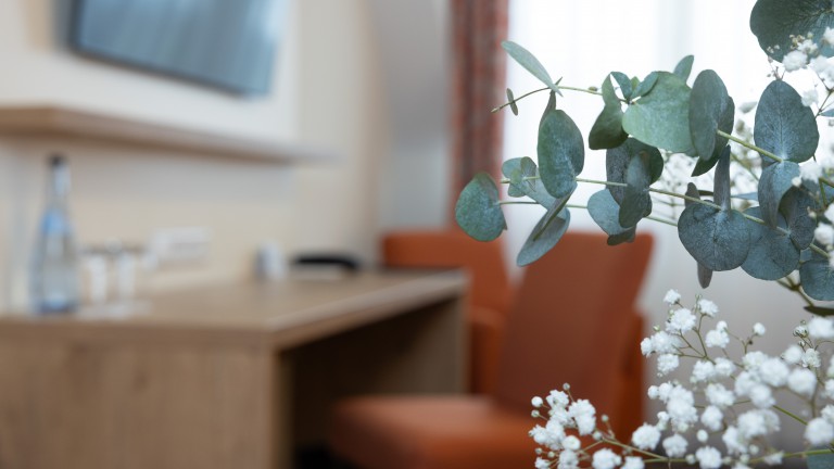 Comfort kamer - Landhotel Steigenhaus