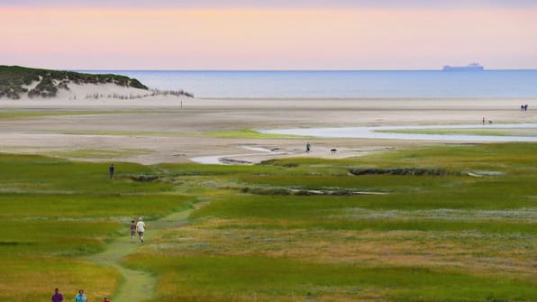 Omgeving - Villapark Residentie Texel