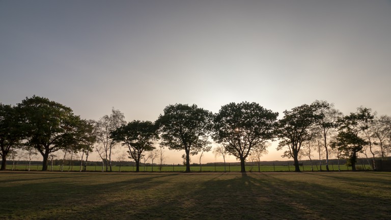Omgeving - Arden Parks Tulderheyde