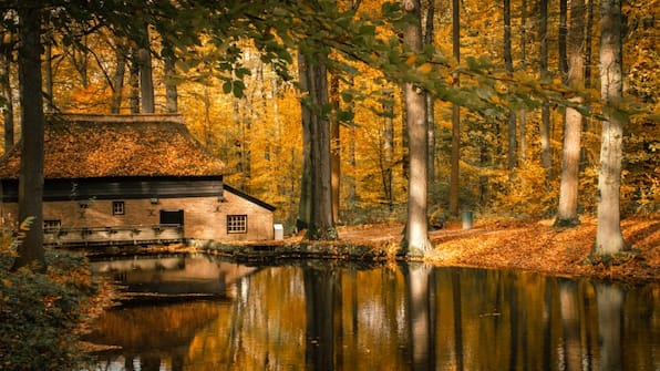 Veluwe - Herberg de Zwaan Elspeet