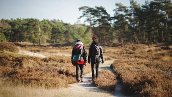 Wandelen - Herberg de Zwaan Elspeet