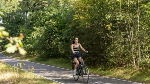 Fietsverhuur - Siblu De Tol