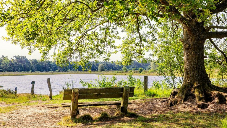 Omgeving - Hofparken De Bergvennen