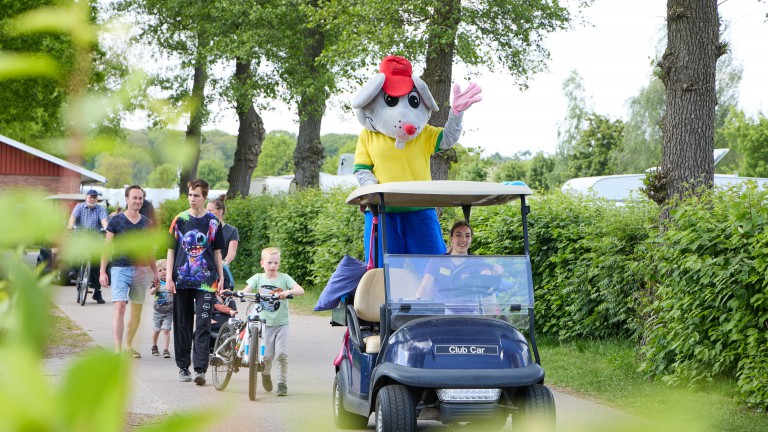 Animatie - Camping 't Veld