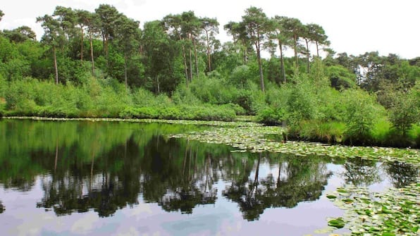 Omgeving - Landgoed de Rosep