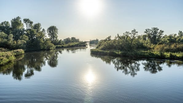 Omgeving